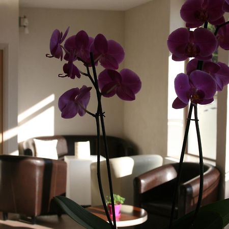 Hotel Bel Horizon Saint-Chély-dʼApcher Eksteriør bilde